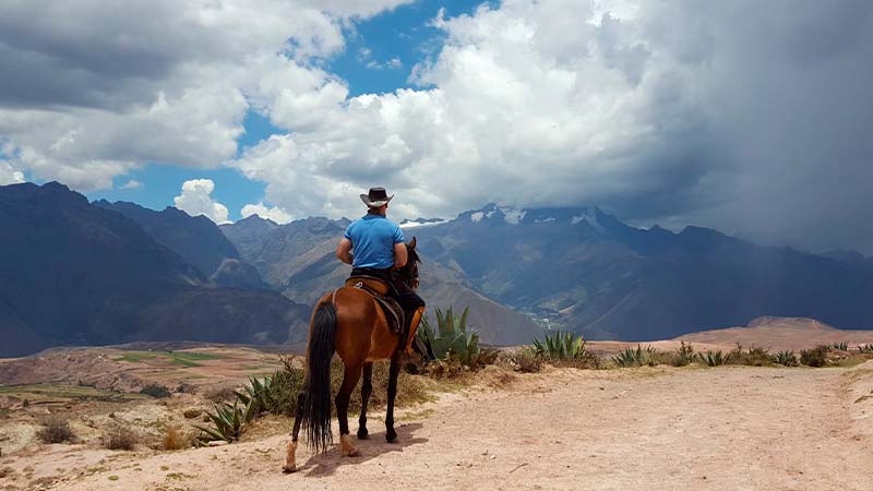 Horse looking at the camera | Horse Riding in Cusco