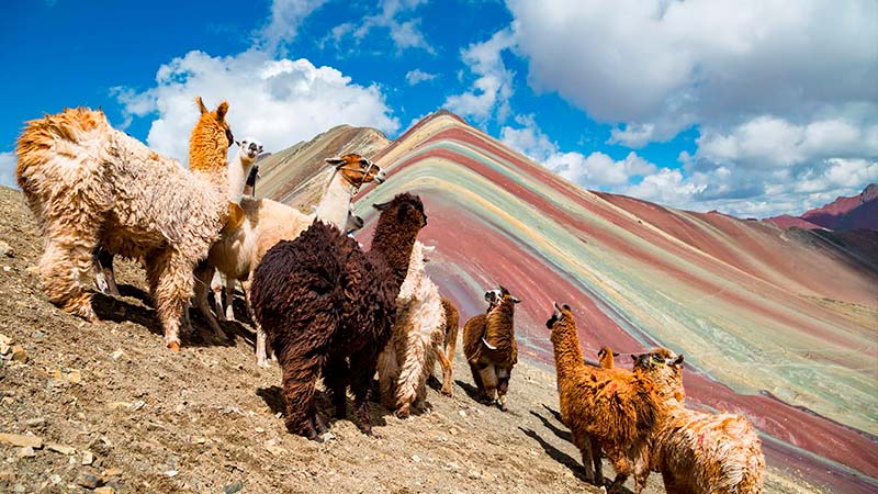 Rainbow Mountain - Vinicunca